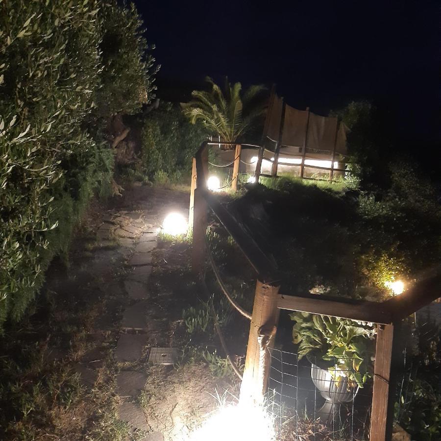 Holiday Home Tavullia Exterior foto